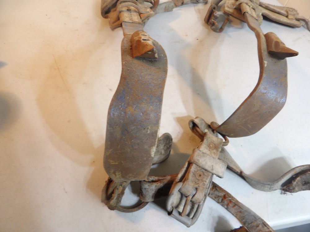 Tree Climbing Spikes ( leather in bad condition )