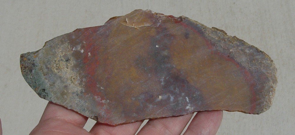 Macaw Agate from Mexico Lapidary Slab T721