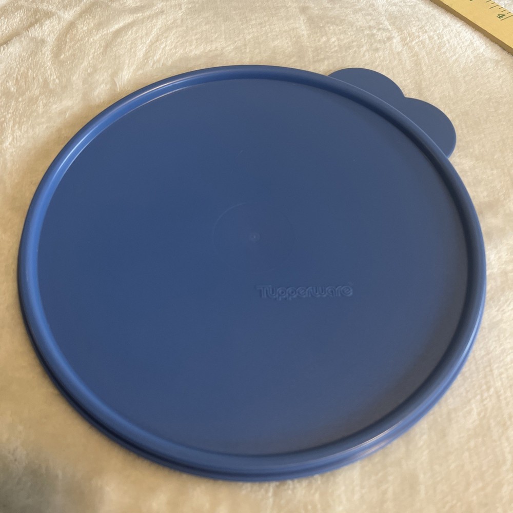 Tupperware #229-6 "Y" Replacement Seal. blue 2516