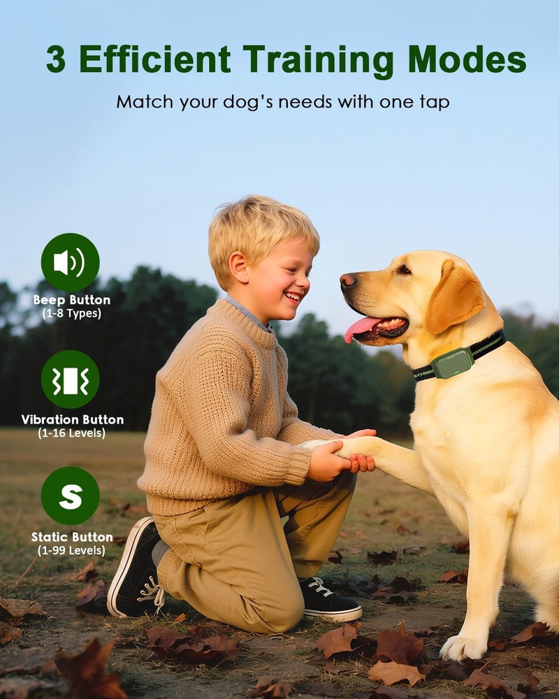 Waterproof Dog Training Collar with Remote Control, Vibration Static Modes