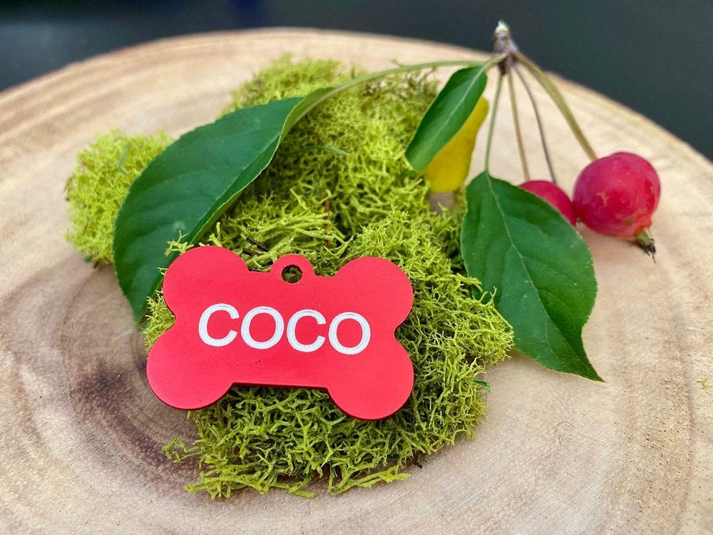 Custom Engraved Dog Tag Pet ID with split ring Personalized tag, CHARMS