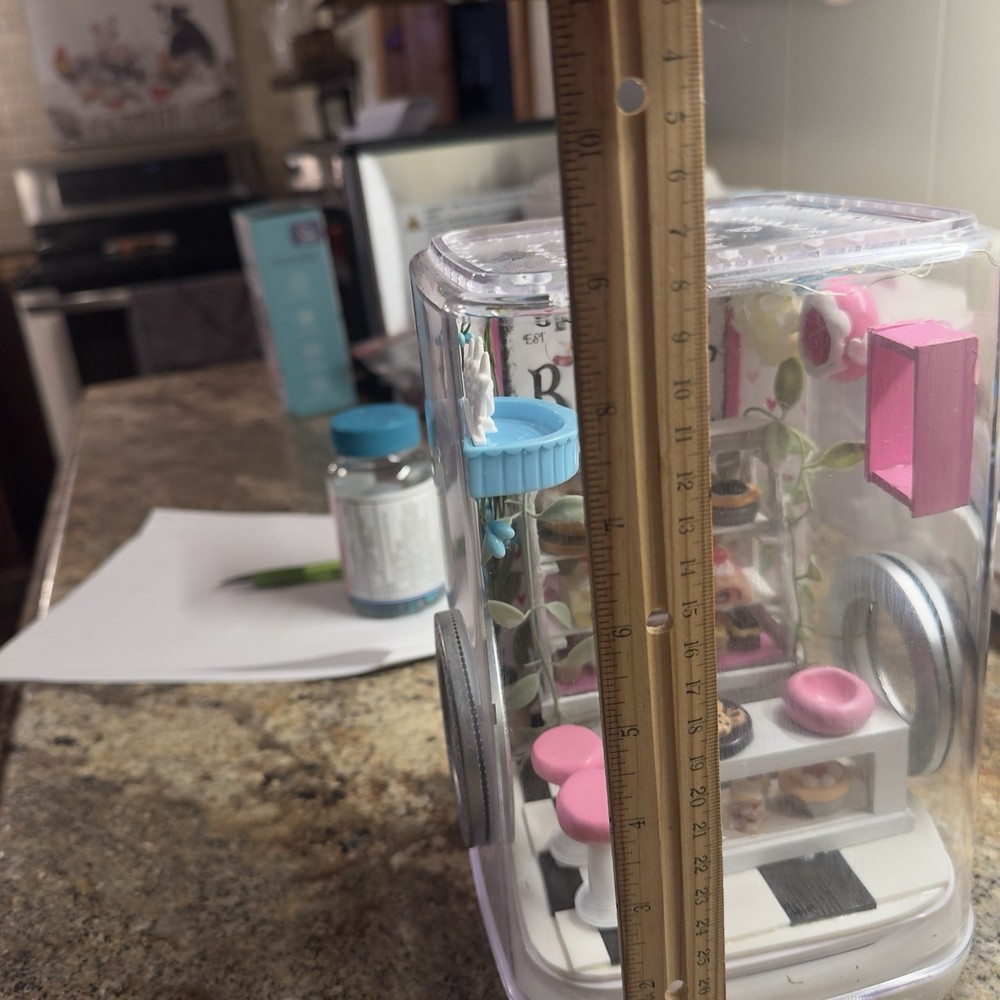 Jumping Spider Enclosure Bakery Themed Handmade