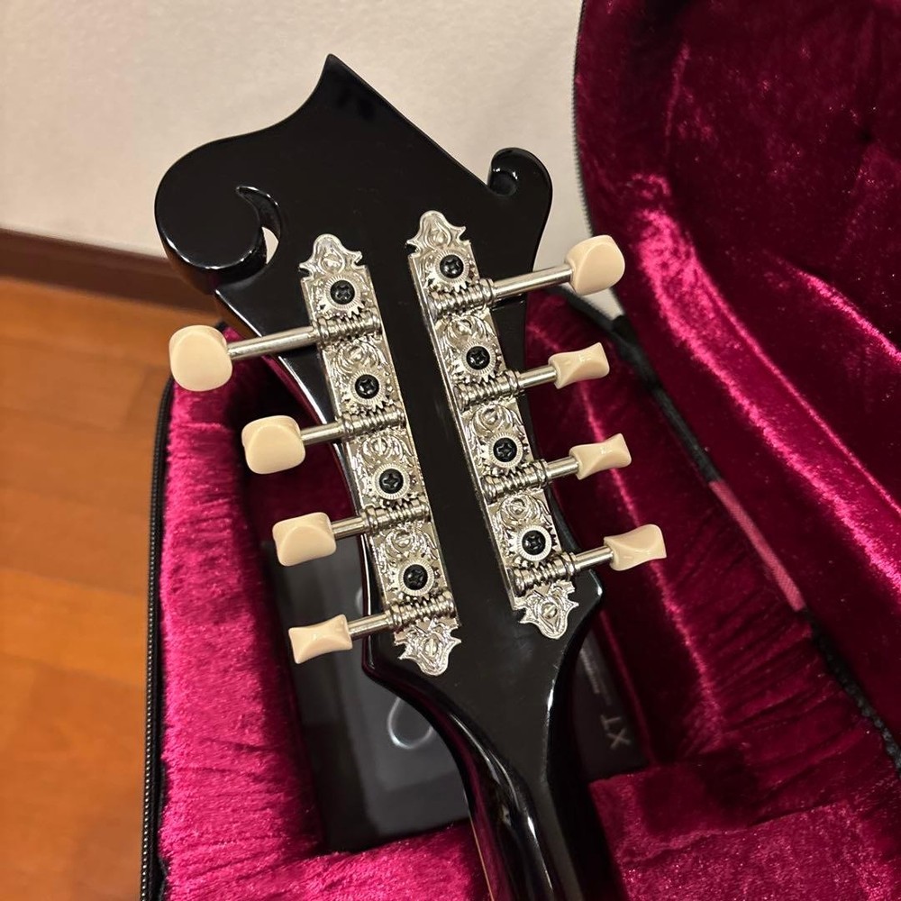 LOAR LM-520-VS flat mandolin