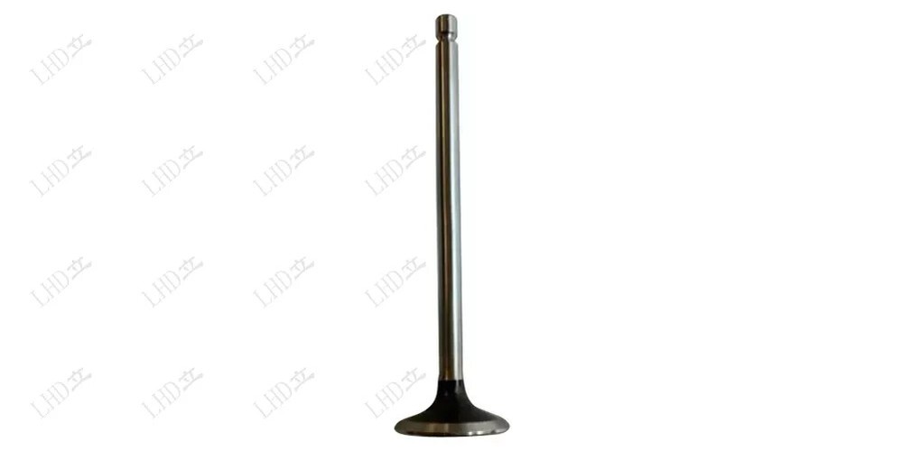 6Pcs Valve 3927255 For cummins Diesel Engine：