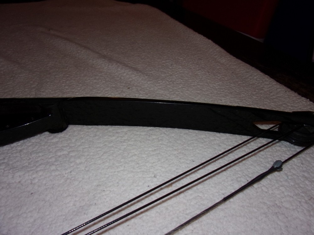 Bear Archery Compound Bow