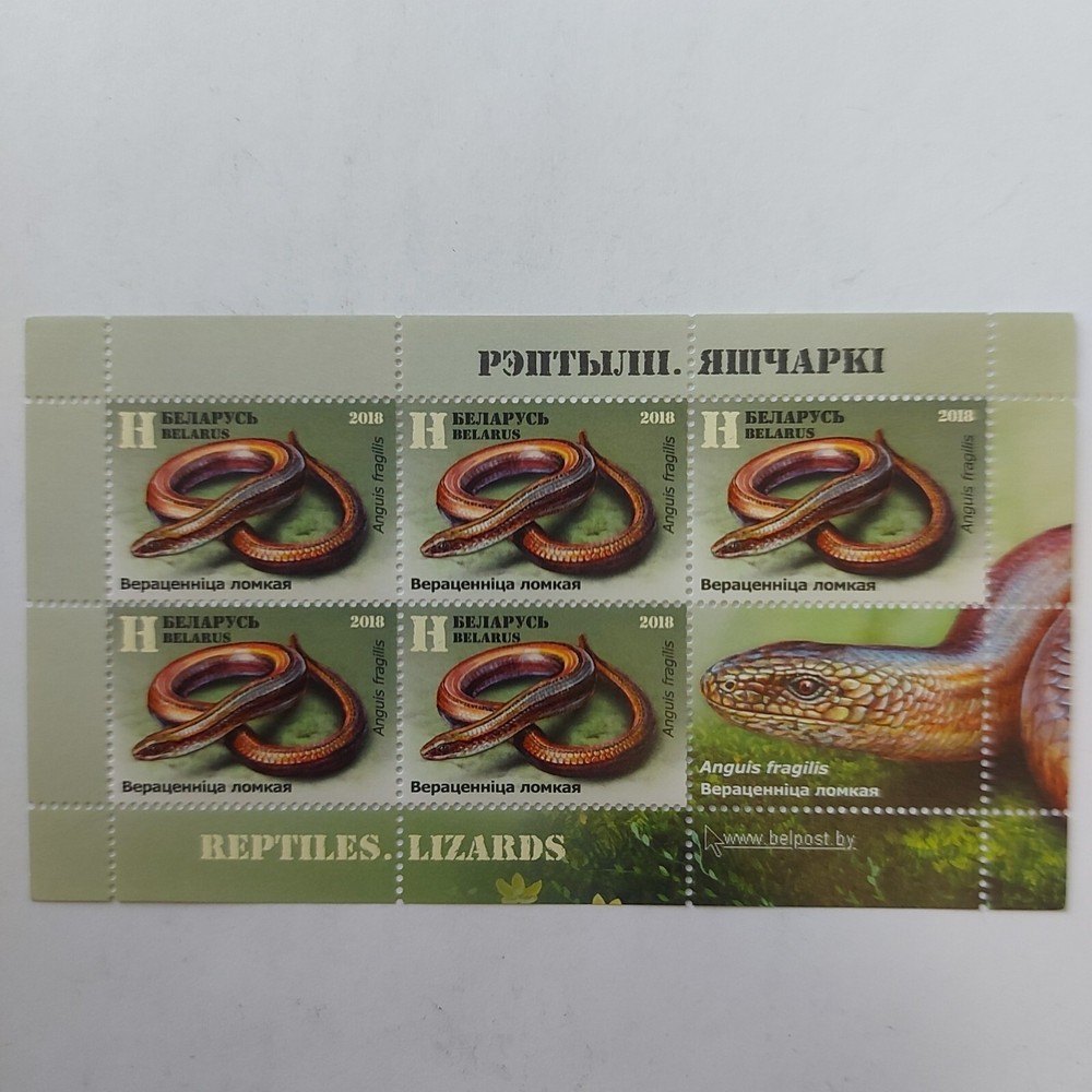 2018 Belarus, Stamp,REPTILES,mini sheet MNH.#st 17