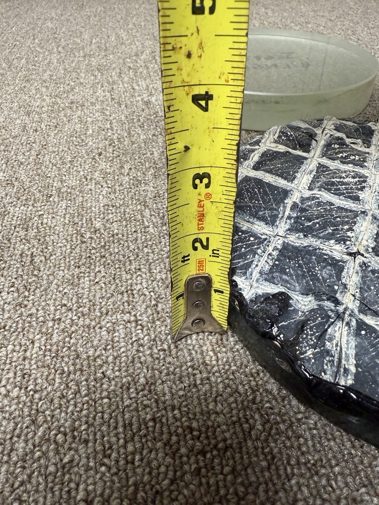 8” Telescope Blank and Pitch Lap