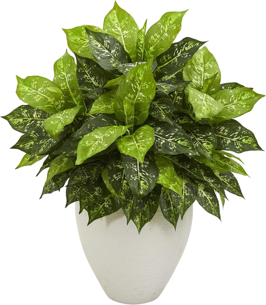 Dieffenbachia Artificial Plant in White Planter