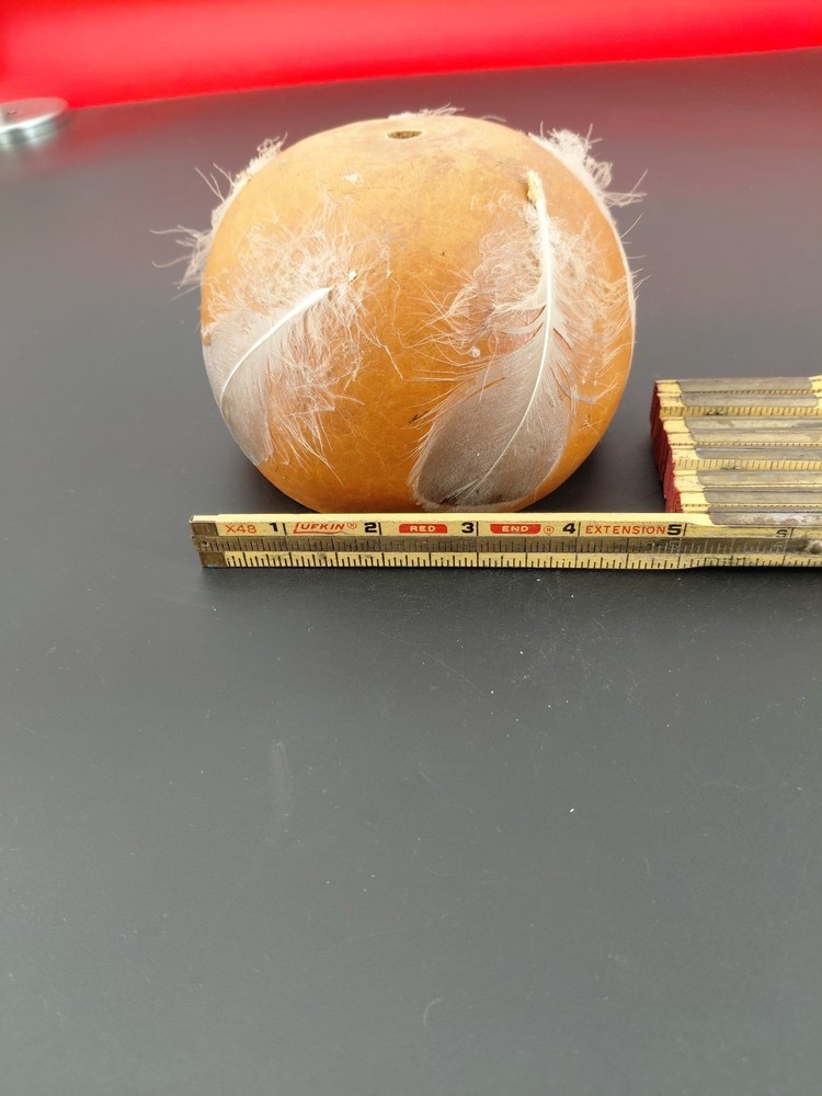 Gourd Dipper
