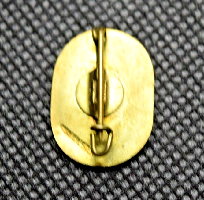 Last Mountain Ski School Snowman Ski Pin
