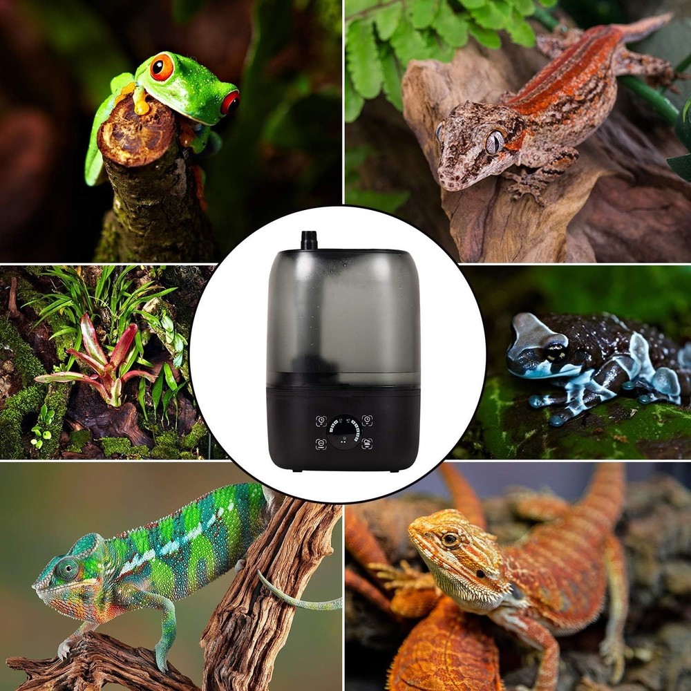 Automatic 4L Terrarium Humidifier with Adjustable Misting & Easy-Clean Design