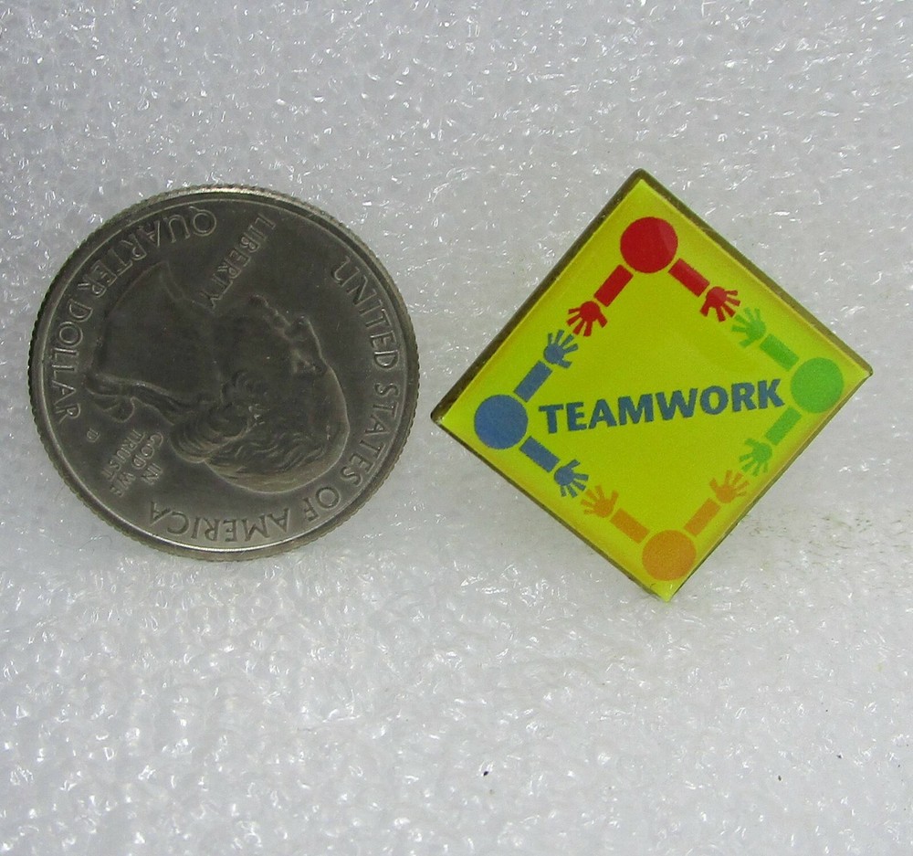 Teamwork Pin