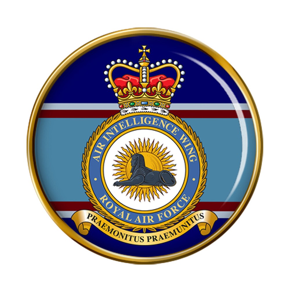 Air Intelligence Wing, RAF Pin Badge