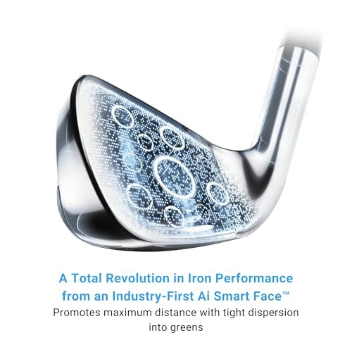 Paradym AI Smoke Max Fast 7 Iron, Graphite, R2, Standard