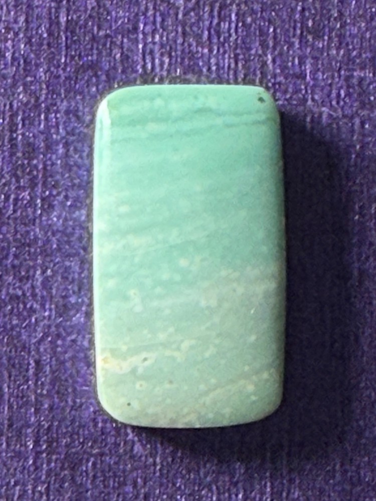 Blue Petrified Opalized Wood Cabochon