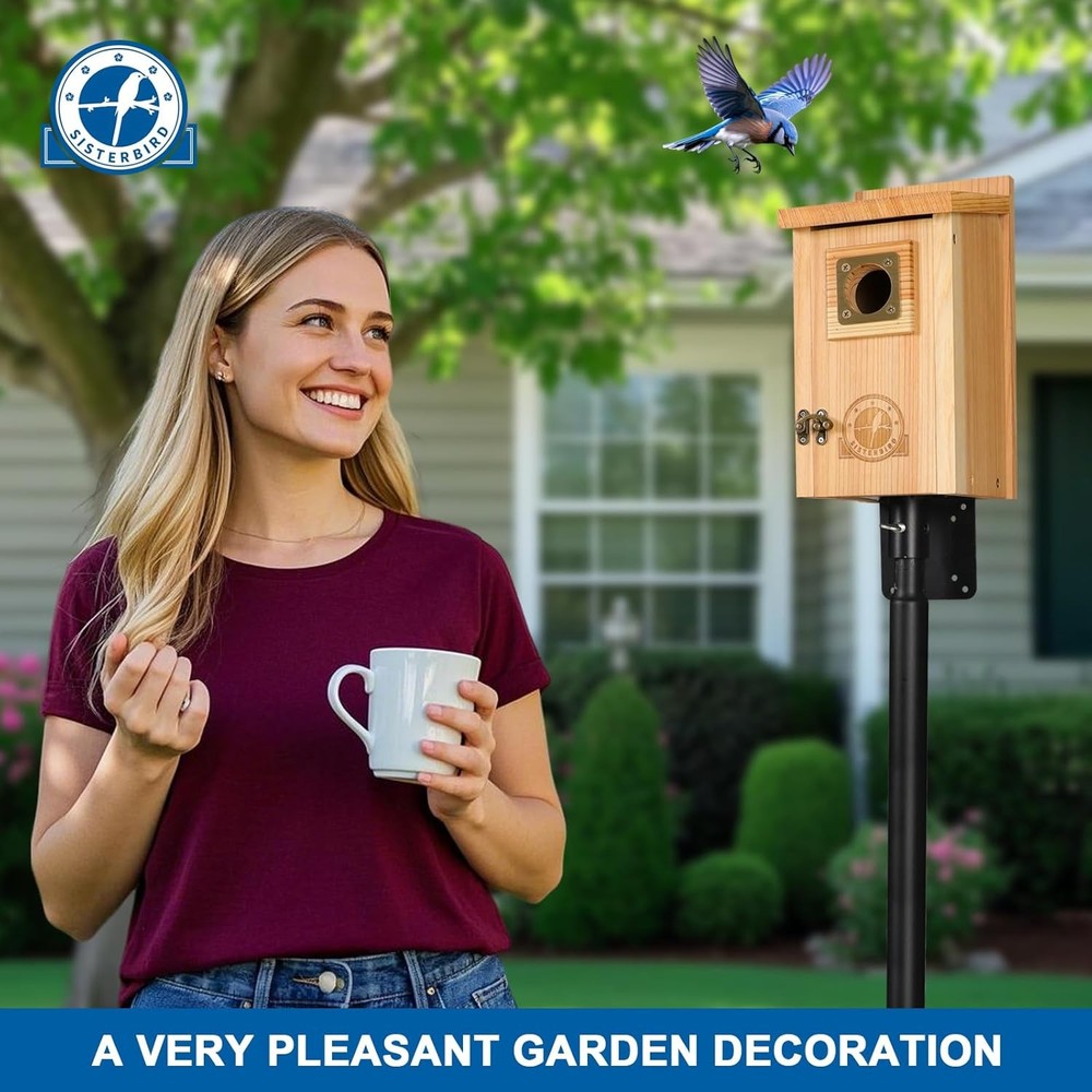 2 Pack Bird Houses Assembly Required