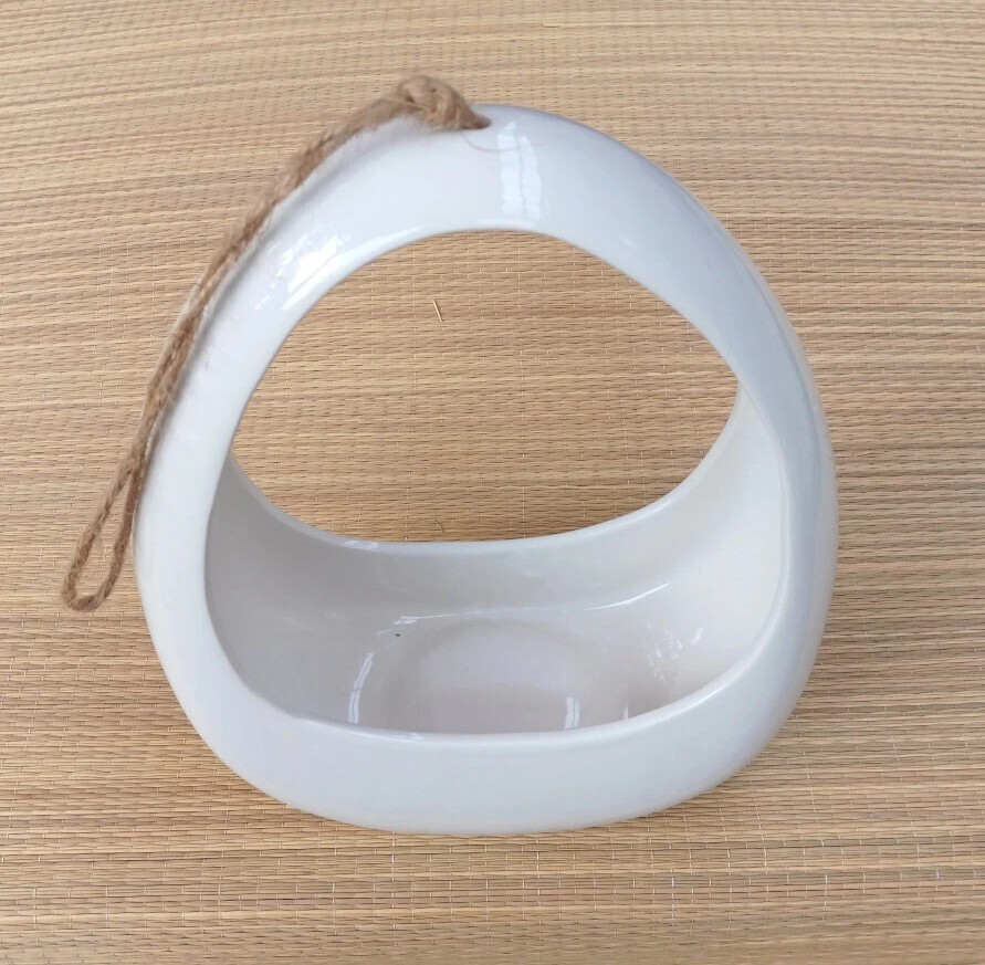Wall Hanging Planter Pot Unique Skinny Shape Ceramic White