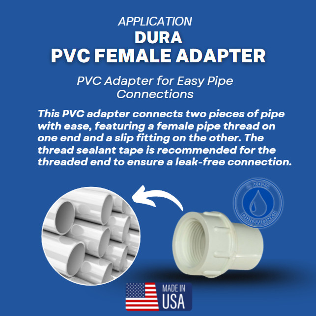 5 Pack 2" PVC Female Adapter (SxFPT)