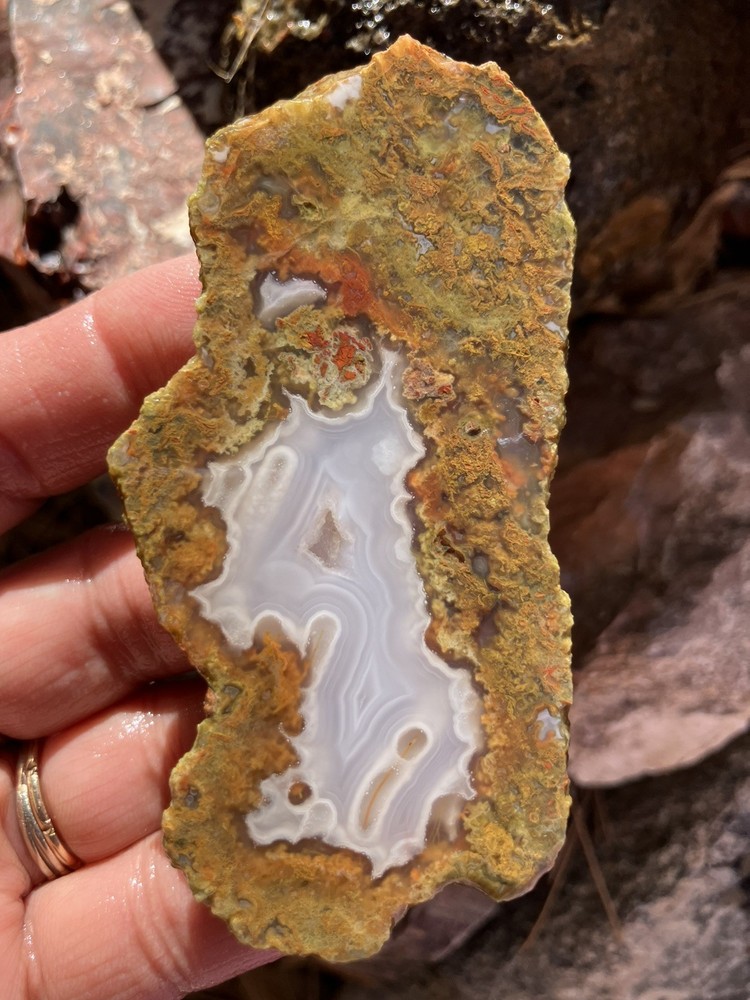 Laguna Agate Slab