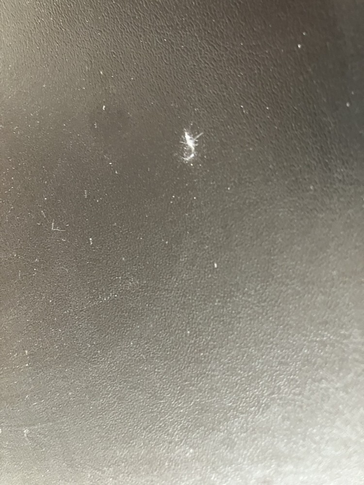 Bowflex PR1000 Padded Bench Section