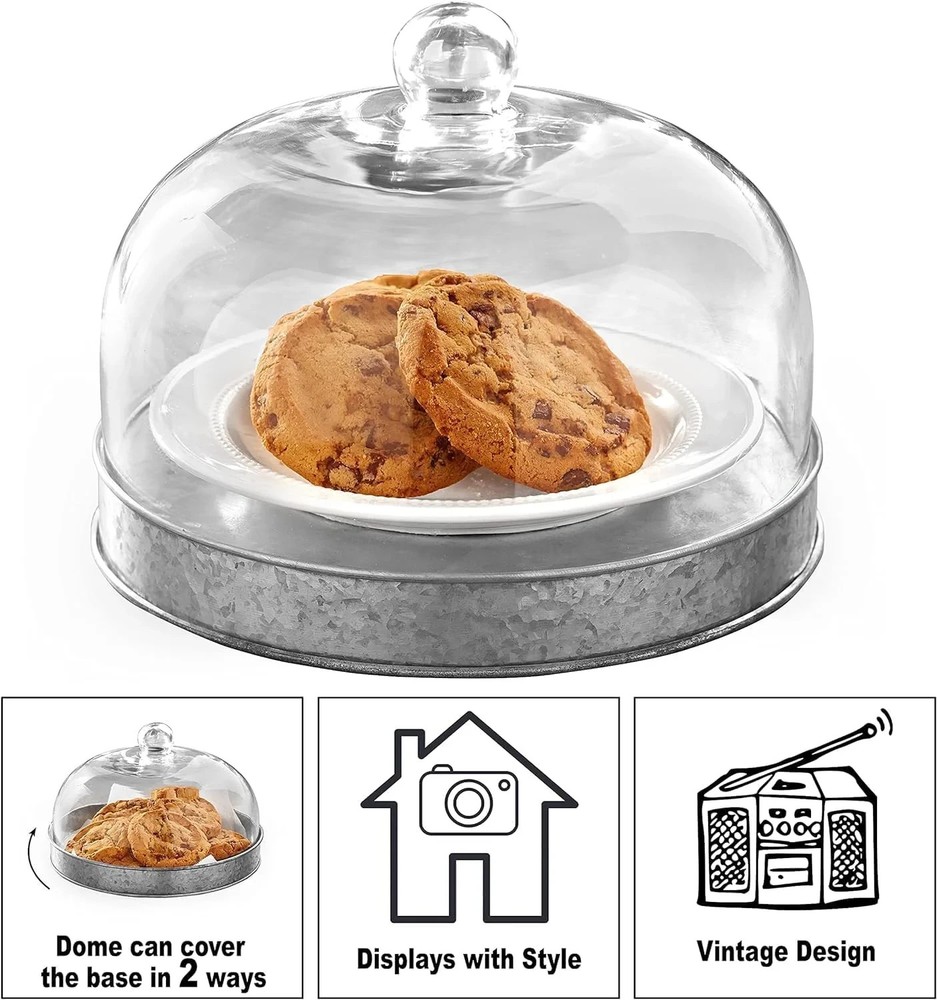 Galvanized Metal Serving Tray with Glass Dome Cover – Rustic Kitchen Tabletop Fo