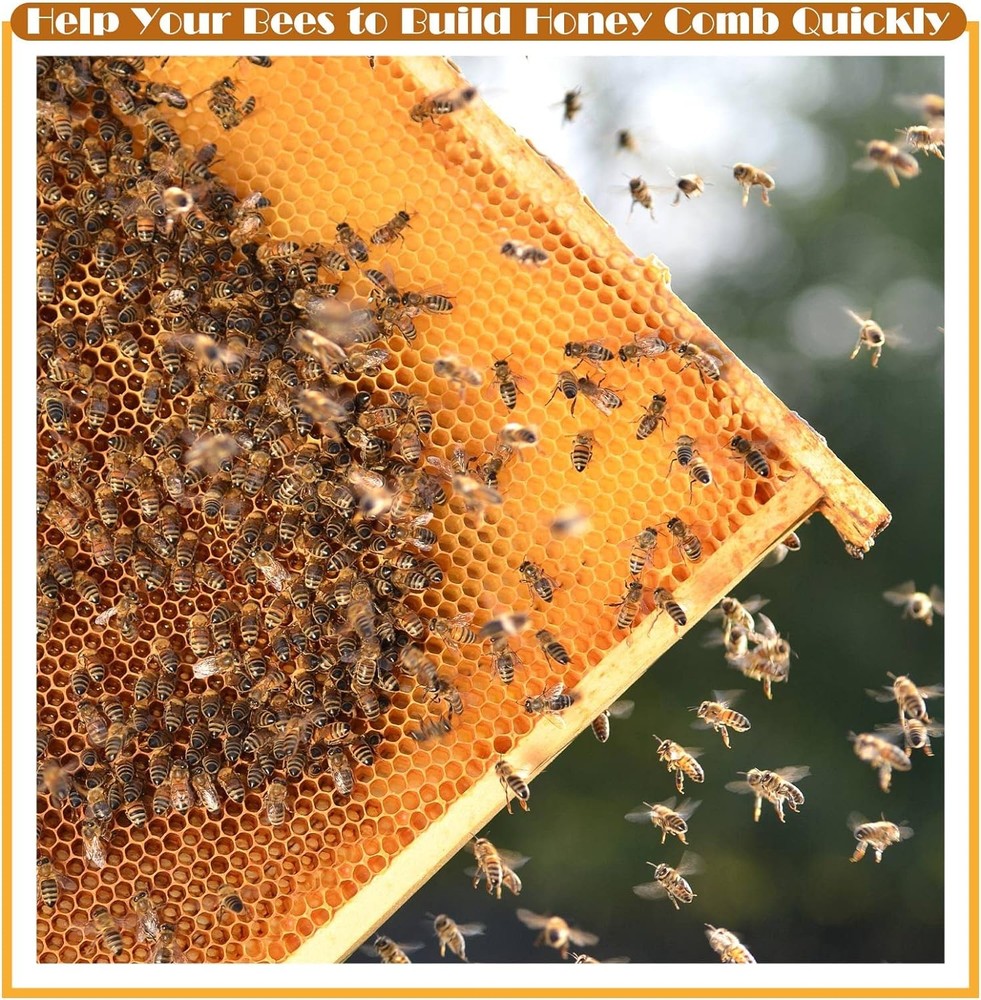 10 Assembled Beehive Frames, Coated Beeswax Foundations for Beekeeping