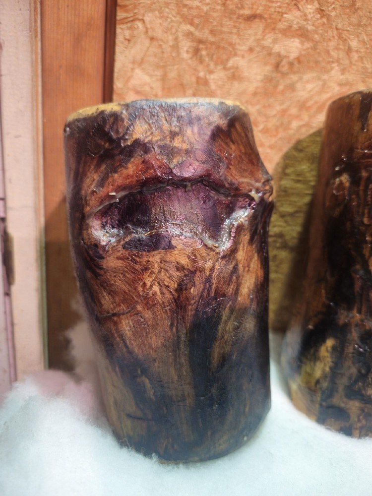 White Ash Trunk Eye Scars