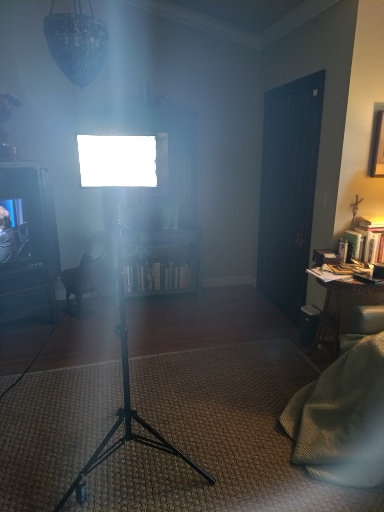 Flashpoint 7' 3 Section Aluminum Light Stands With Light and Diffuser (2)