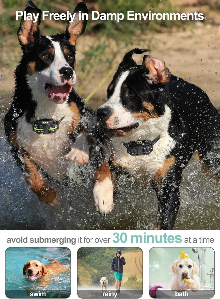 Dual Pack Dog Training Collar - Shock, Vibrate, Beep Modes