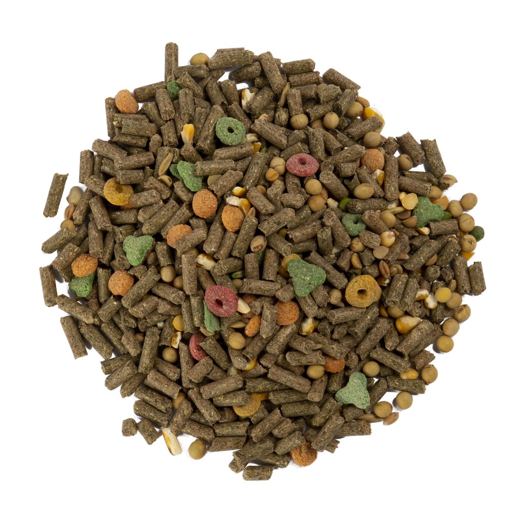 Advanced Nutrition Guinea Pig Food