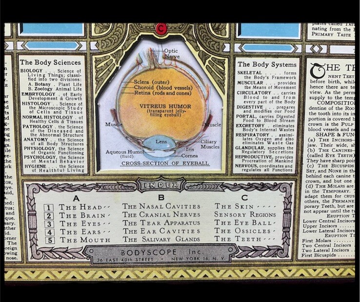 1943 Illustrated BODYSCOPE Folio