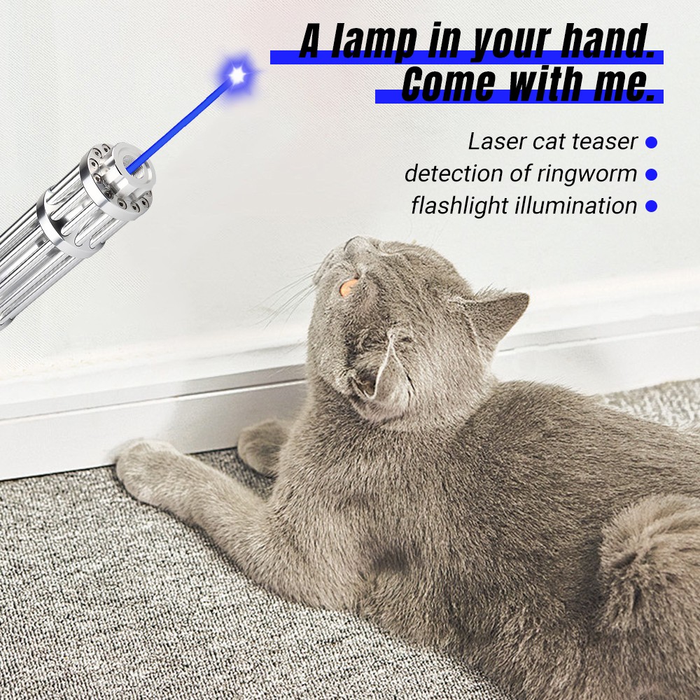 Adjustable High Power Blue Burning Laser Pointer Visible Dot Torch Light 5 heads