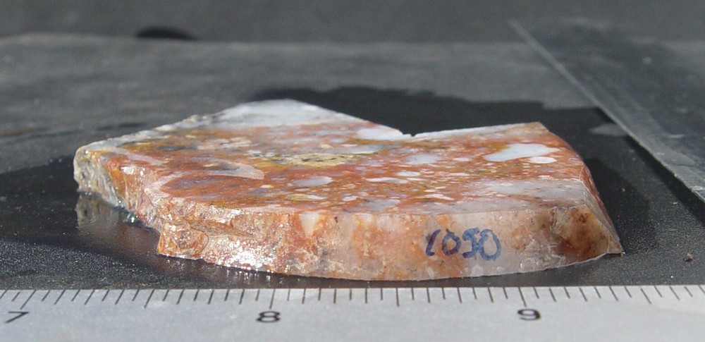 Red white and black Agate Lapidary Slab 1050
