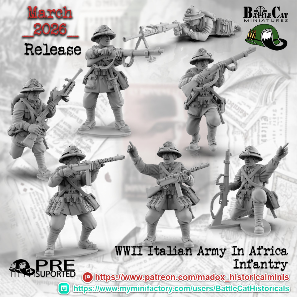 WWII Italian Desert Infantry (15)