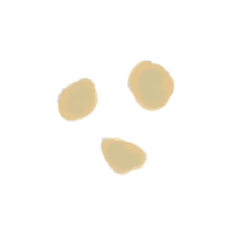 Arcobaleno AEX130 & AEX130M#283 Pasta Die