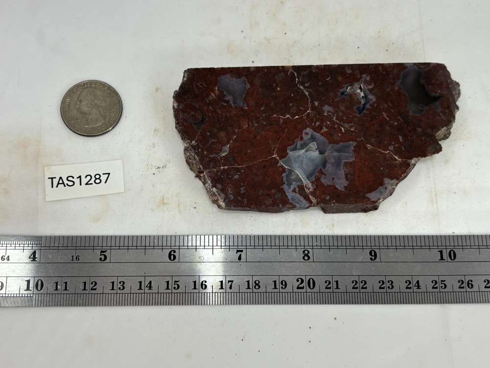 Turkish Agate slab Cabbing Lapidary Collecting Combo Ship aval