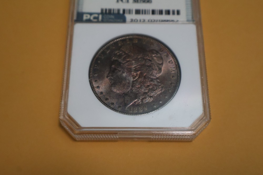 1889 MORGAN DOLLAR - TONING
