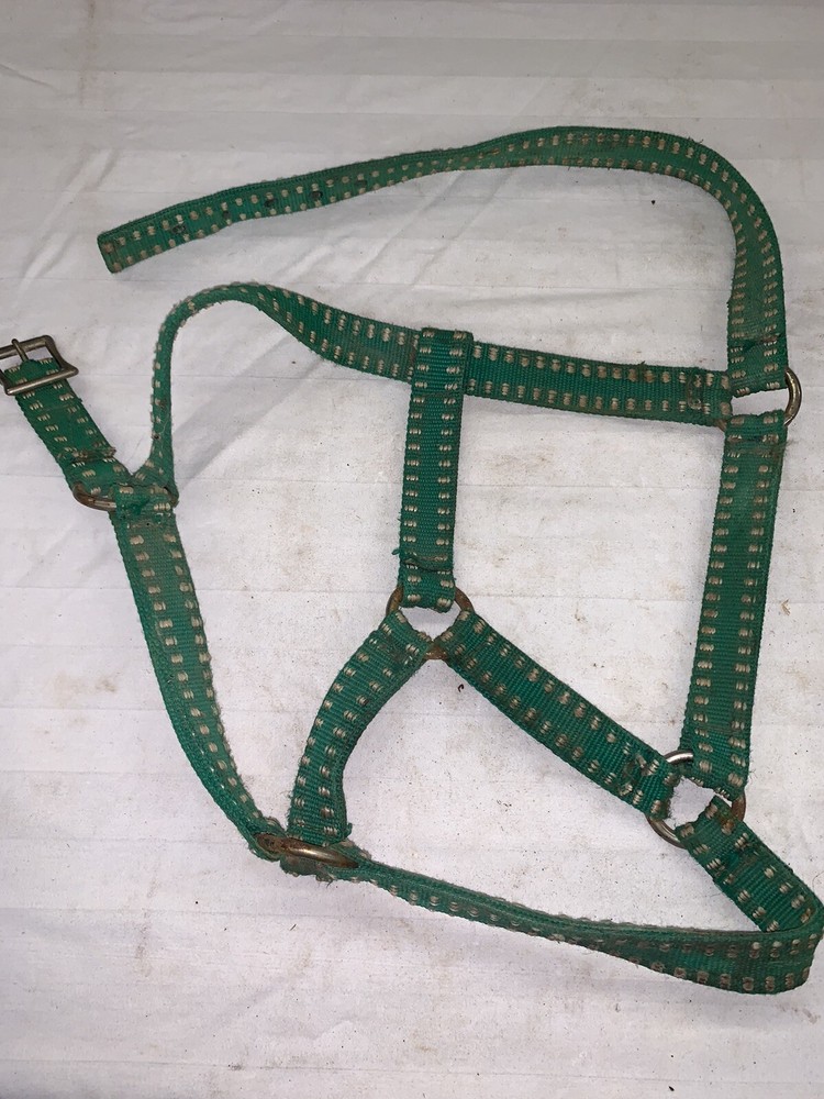 Green Nylon Horse Halter ~ Used