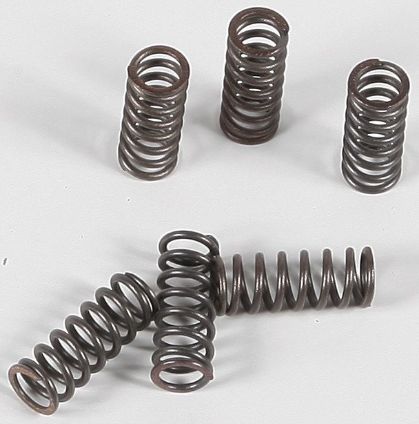 EBC CSK Clutch Spring Set (CSK39)