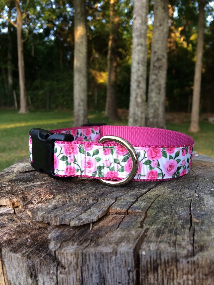 Pink Roses Dog Collar