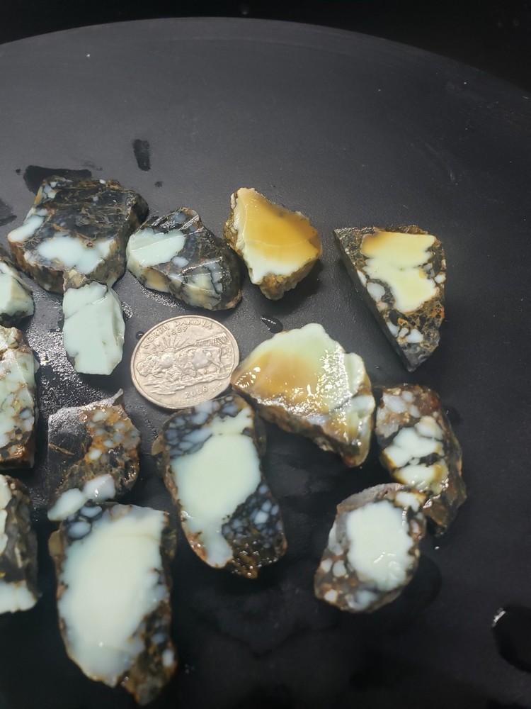 Aloe Variscite Slabs 1/4 lb