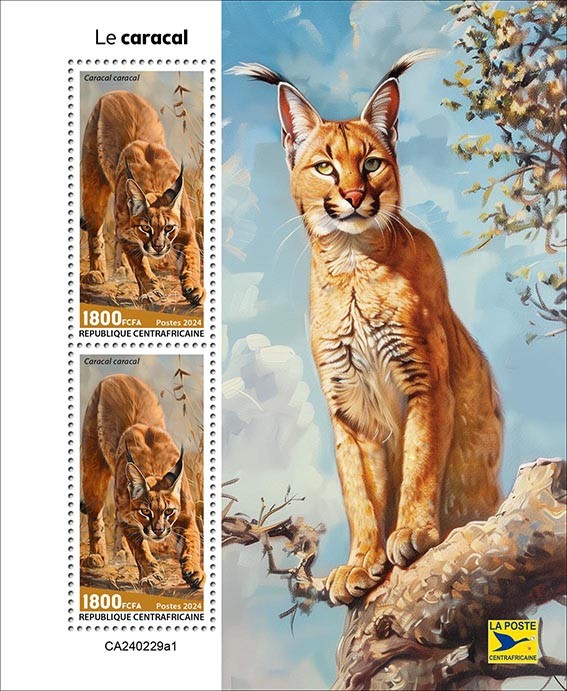 Caracal