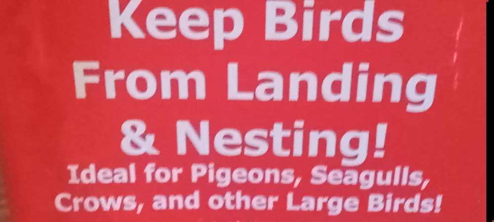 Bird-B-Gone (Bird Repelling *Clear Plastic Spikes*) for Assorted Species