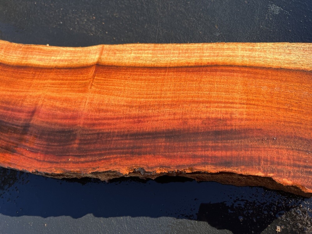 Hawaiian Milo Board #14042