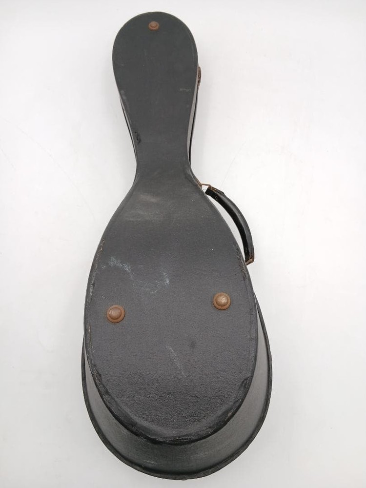 Suzuki violin mandolin with hard case