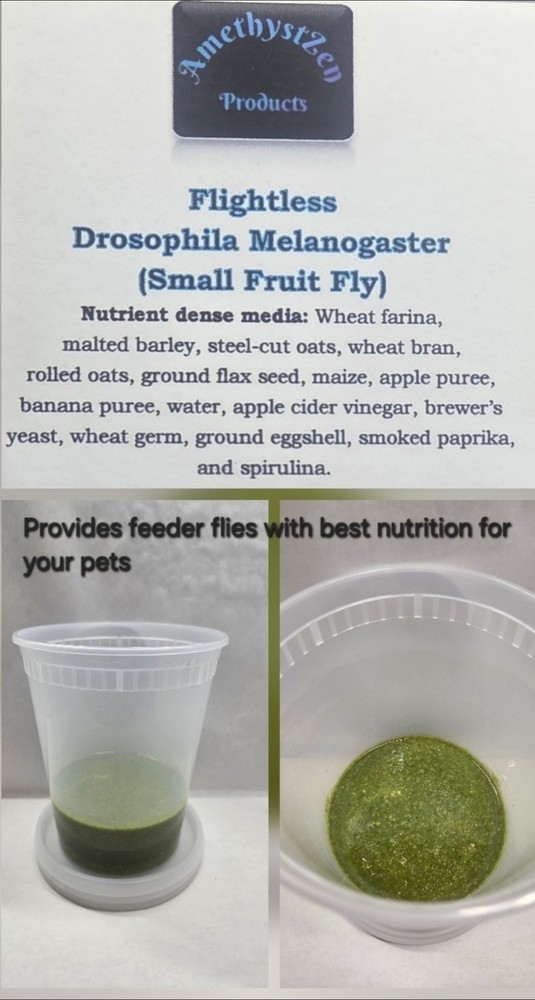 Easy Dispense *FLYING* Fruit Fly (Melanogaster/Small Fly)