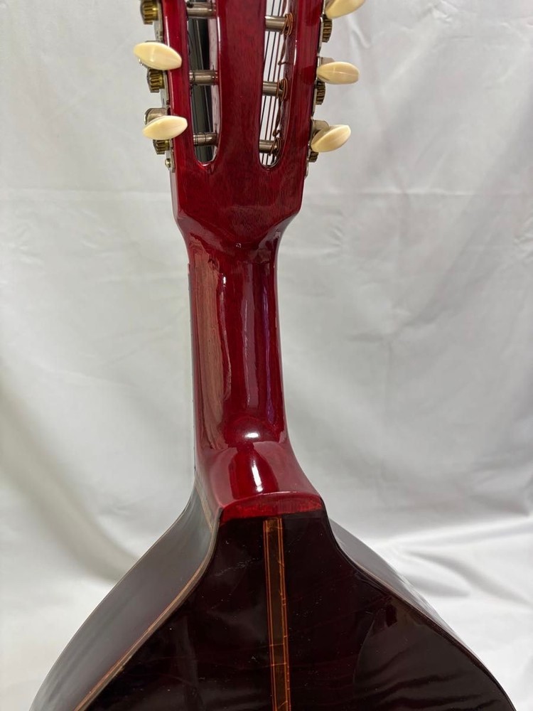 �y�󏭃��A�zOscar Schmidt Stella 12-string (1920s)