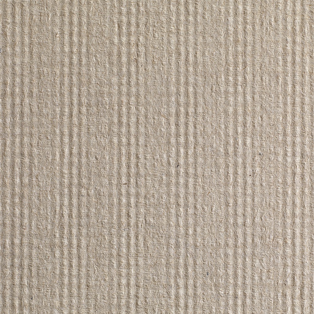 Pacific Blue Basic Paper Towel Hardwound Roll 12 Pack(s) 1 Towels/ Pack