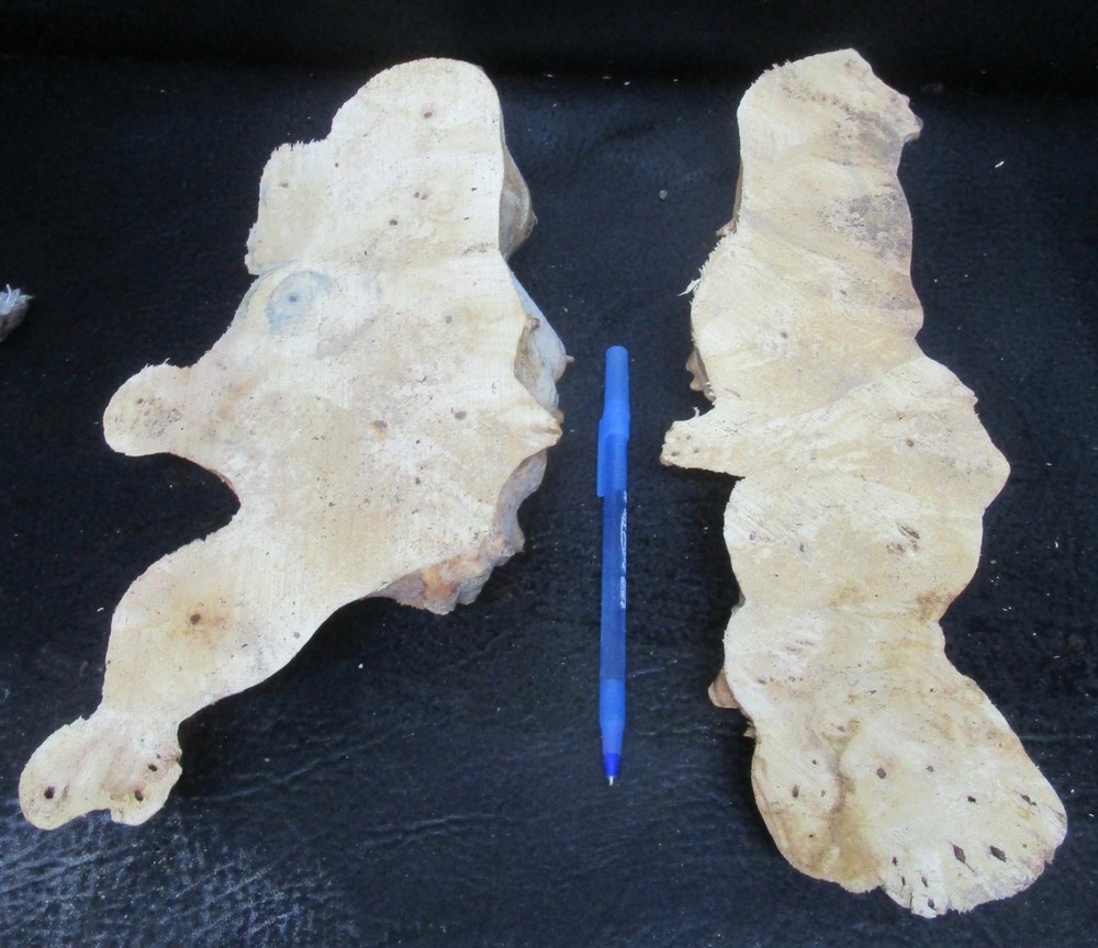 2pc Buckeye Burl end caps/cut offs #D411 assorted sizes