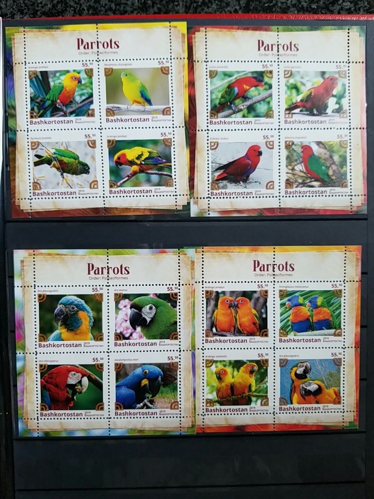 stamps Bashkortostan 2019 Parrors 8 blocks MNH